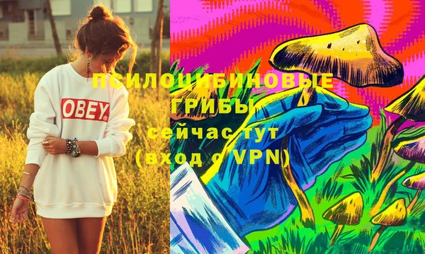 дмт Армянск