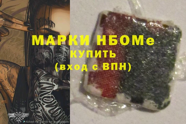 прущие грибы Саяногорск