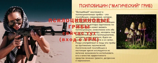 дмт Армянск