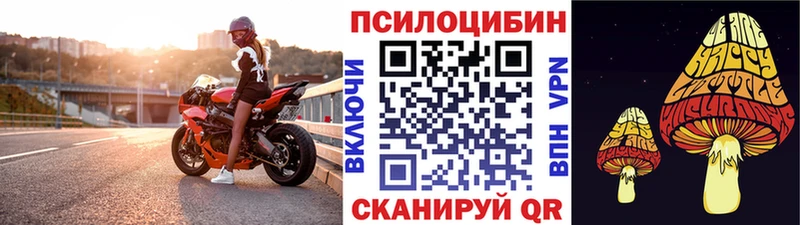 MEGA рабочий сайт  Аша  Галлюциногенные грибы Psilocybe 